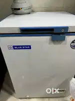 Blue star deep freezer