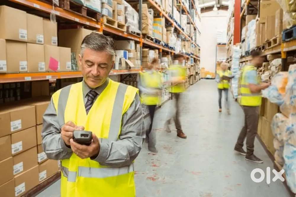 Golden Opportunity for Logistics Students