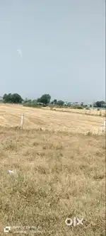 Farm house in just 60000/ per marla, 100 Marla available time 9 months
