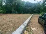15cent of land Angamaly Karayamparambu