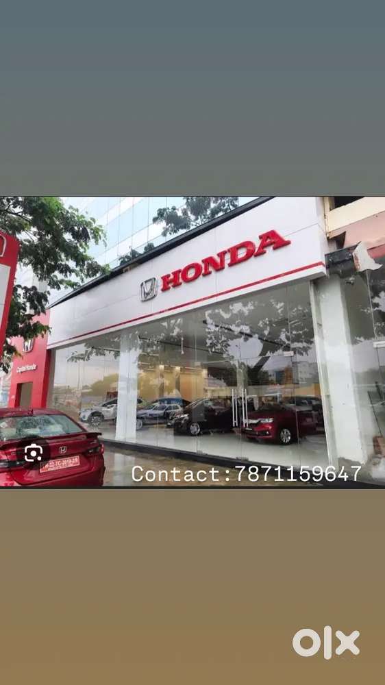 Sales  Executive