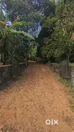 2.5 Acres at an Attractive Price! Prime Land for Sale