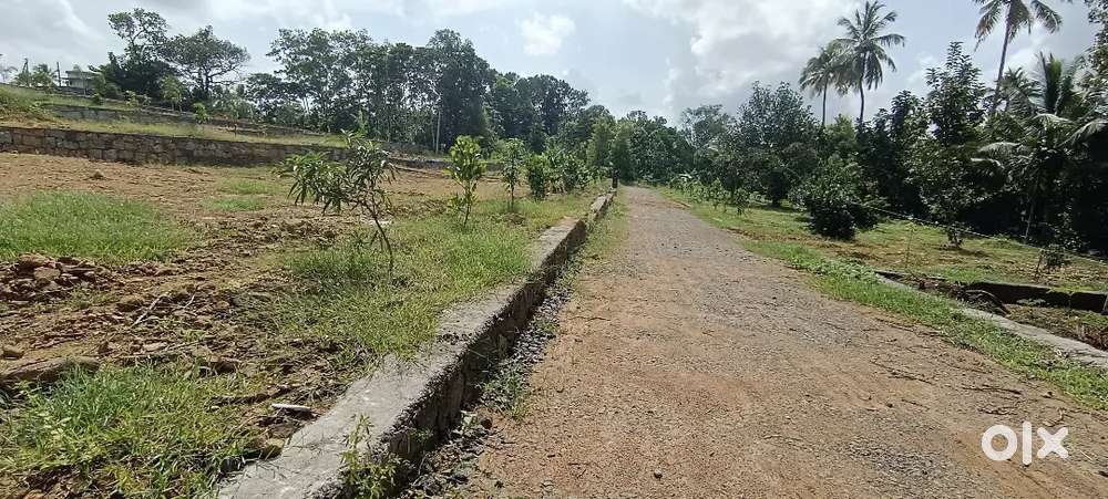 Angamaly elavoor st Mary's Church near by 4,5,8, 10 cent plots