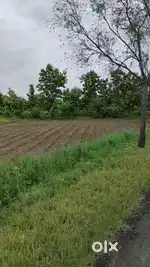 3.5 ACRES PRIME LAND FOR SALE – SAMBAR ROAD TOUCH, MAUJA RAMNA
