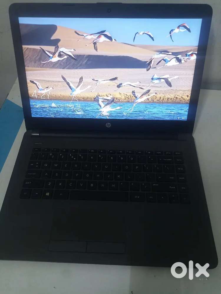 HP 245 G6 Good Condition