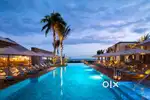Wanted Waiter at resort (Male and Female)