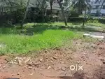 Land for sale kalady