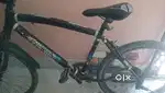 Tata bicycle