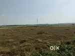 Land for sale 6 decimal turki chhajan road  near estern states campus