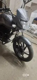Honda shine 1253