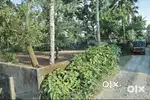 30 cents land in Pandanad