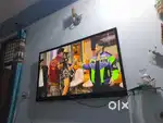 Lg plasma 65 inches