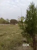 Residential Plot banbhag  & near Kajha Park,Purnia–Starting ₹8 Lakh