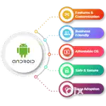 We want skill app and website developer
