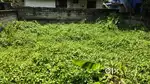 5cent 1 km away from mukolakal devi temple and near bypass, No brokers