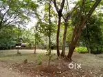Asking price for 1 cent - 4.5 lakh Total - 2902500