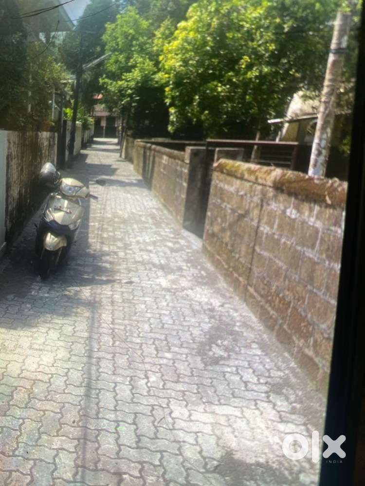 6 cent orginal land for sale