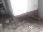 Cooler or fridge ka stand dena hai