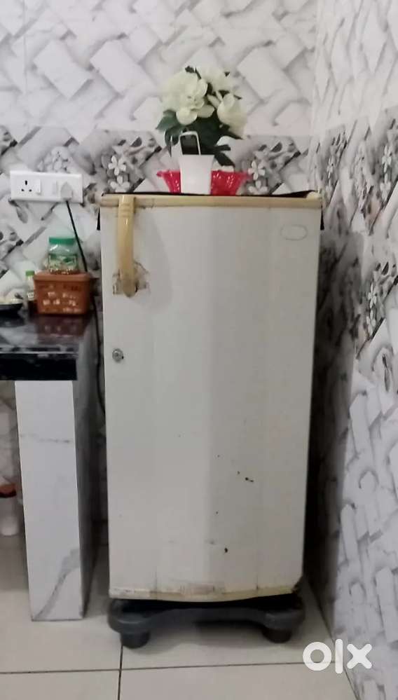 woorlphol 100 L