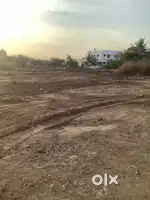Land near MKu University  per cent Rs. 145000/ only
