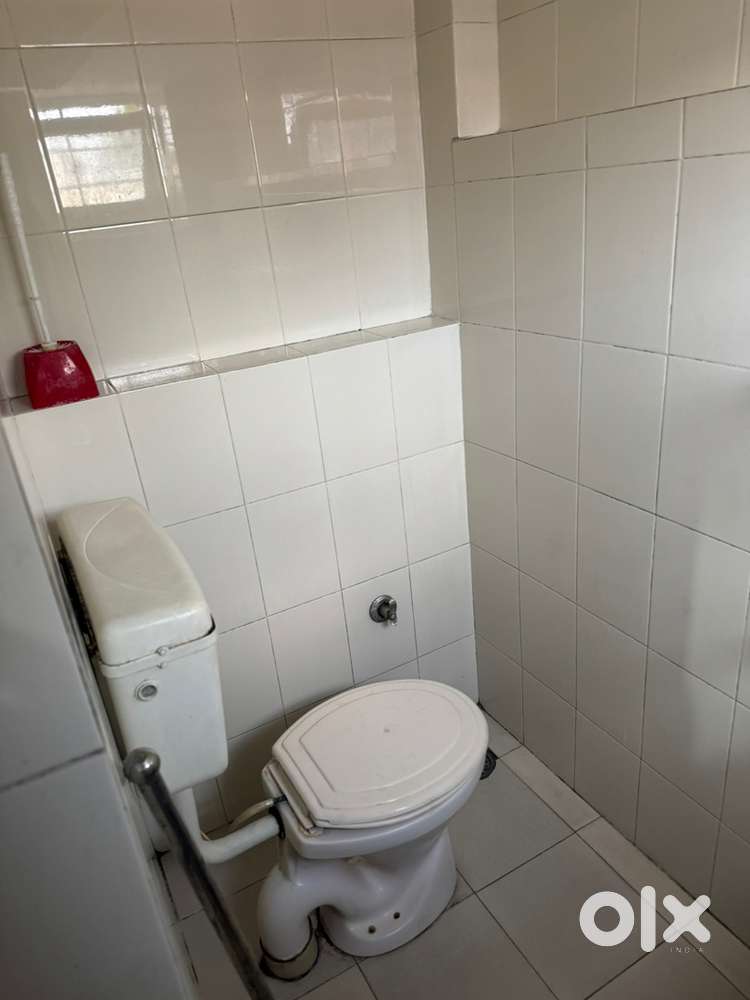 room and pg flat 1bhk for boys girls