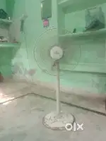 Top fangood