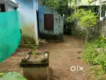 Sale our land