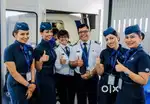 Urgent hiring in indigo airlines