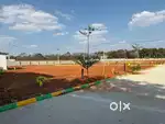 Billamarana halli, Yelahanka ( airport road)
