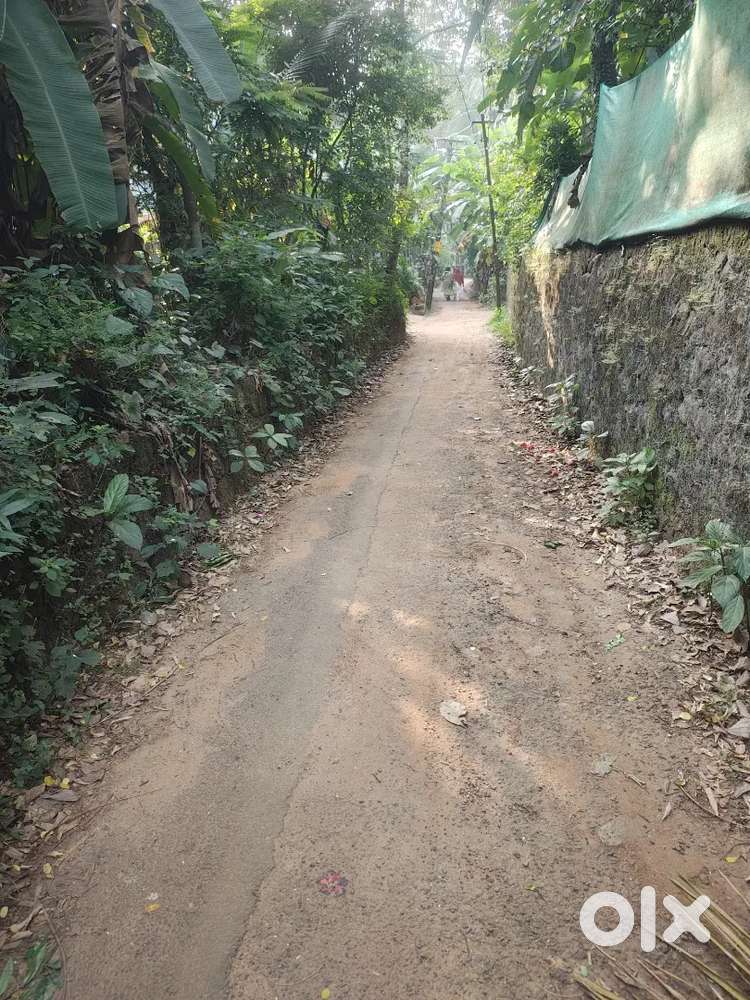 14.26 Cent, at Pantheerankavu, Polenkara, 150mts to Plot in Main Road