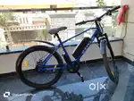 Electric Bicycle for sale
