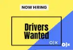 Wanted drivers [ heavy / lmv]  license