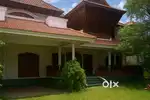 For Rent – Preferable for Ayurvedic Resort & Wellness Business