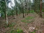 25 cent plot for sale