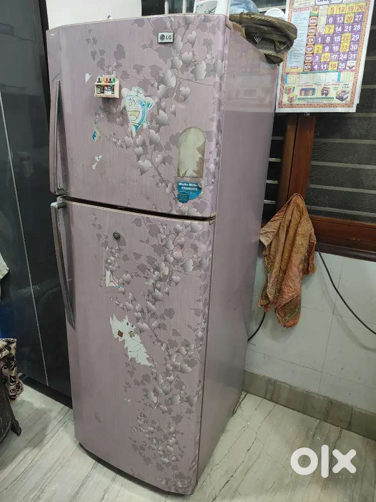 LG  Double Door Fridge