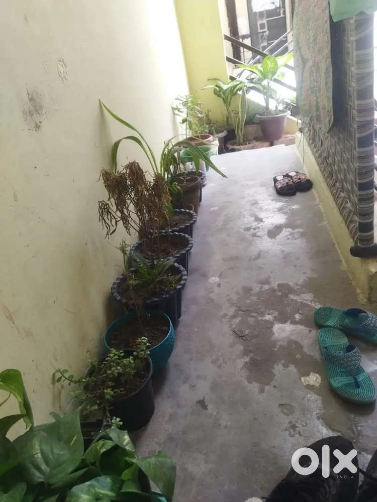 S-37 savera apartment ready to move