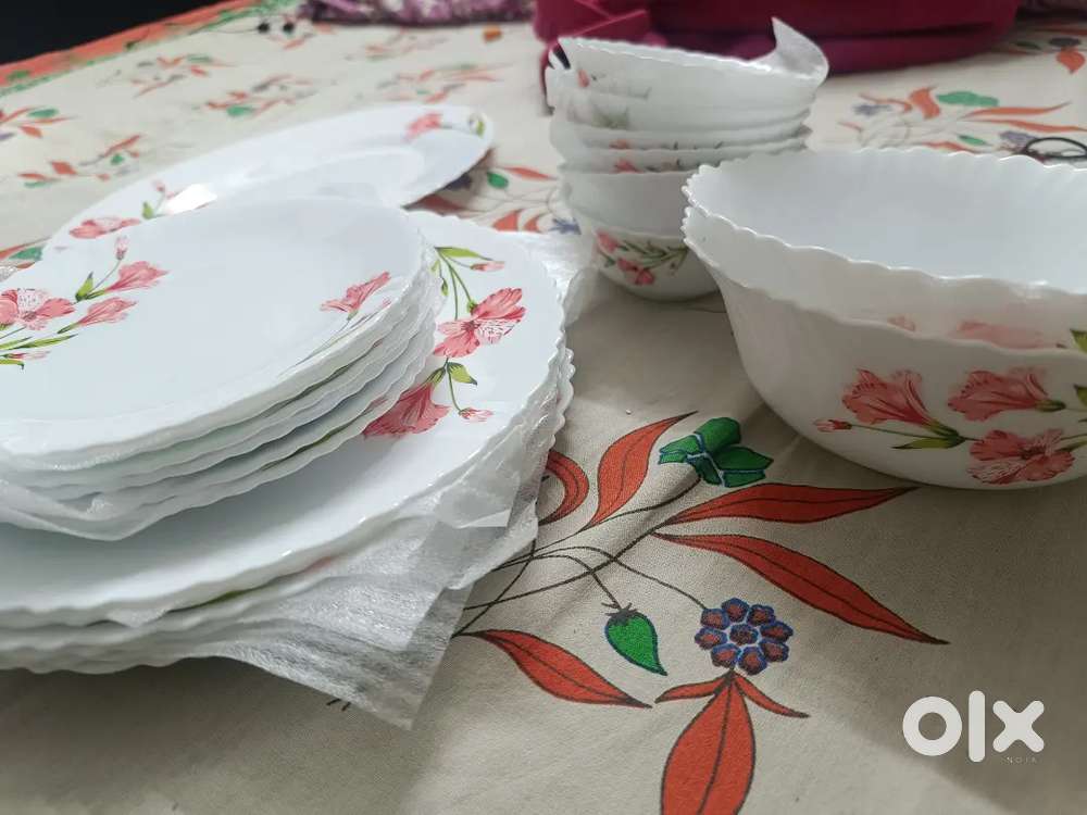 Amazing Borosil Dinner Set by Larah
