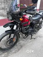 Himalayan (450) in excellent condition!