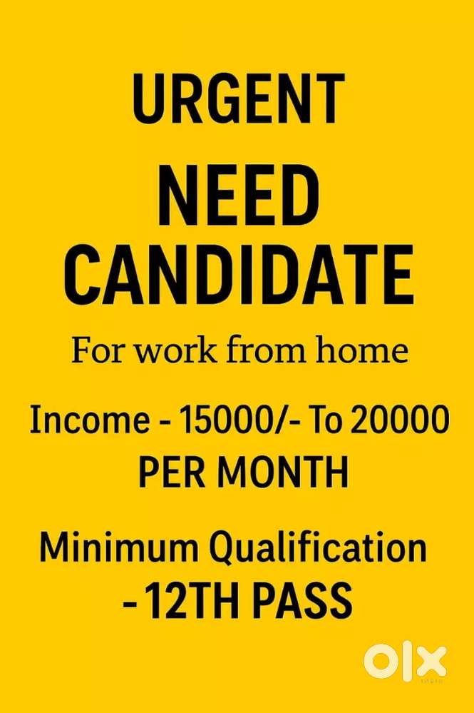 Work from home-best opportunity students/job seekers to earning income