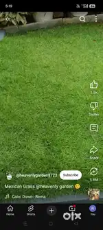 For sale plot