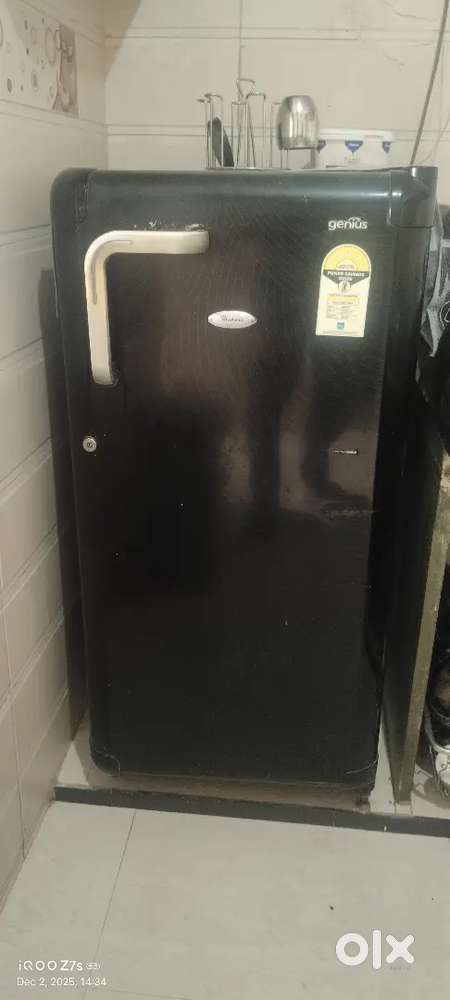 Best quality che...5year old warphool