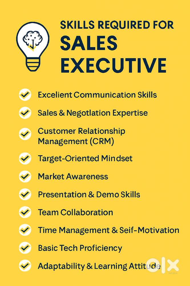 Sales Executive