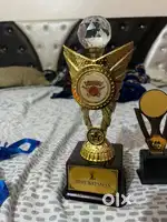 TROPHY madel
