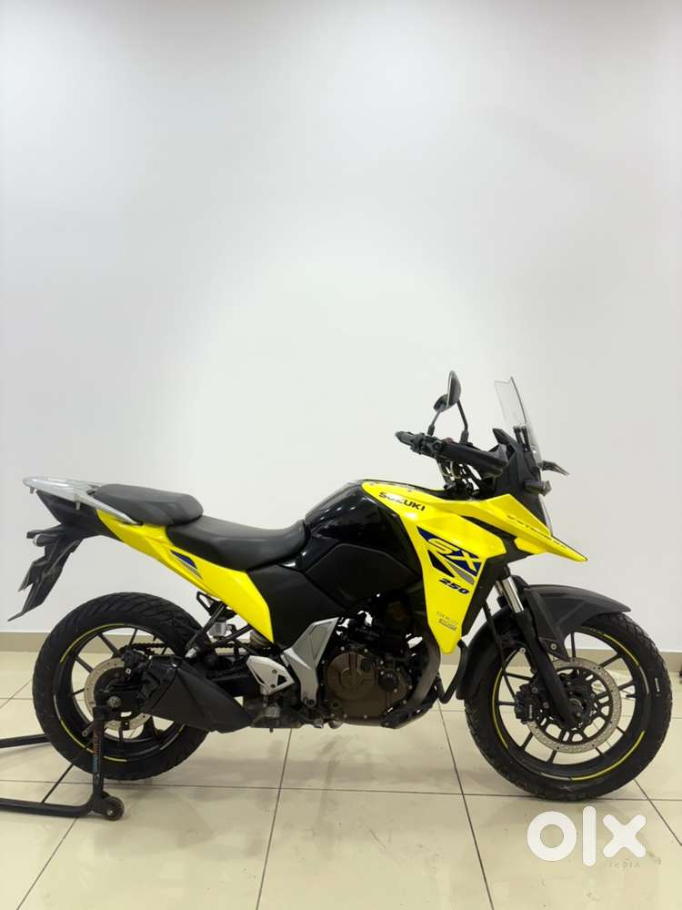 Suzuki/V Storm