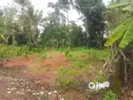 ഒൻപത് സെന്റ് സ്ഥലം വിൽപ്പനക്ക്,
