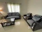 Very less used Sofa
