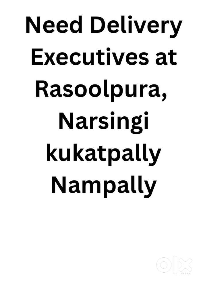 Van Delivery Executives