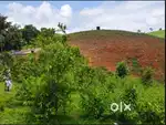 1 acre of Land in Vagamon, Idukki