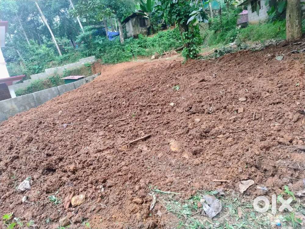 8cent Residential plot for sale at Naruvamoodu,Urgent sale, low price