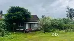 Site for sell